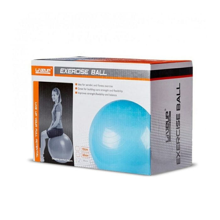 Ballon de Fitness 55cm- Liveup Sports – Image 2