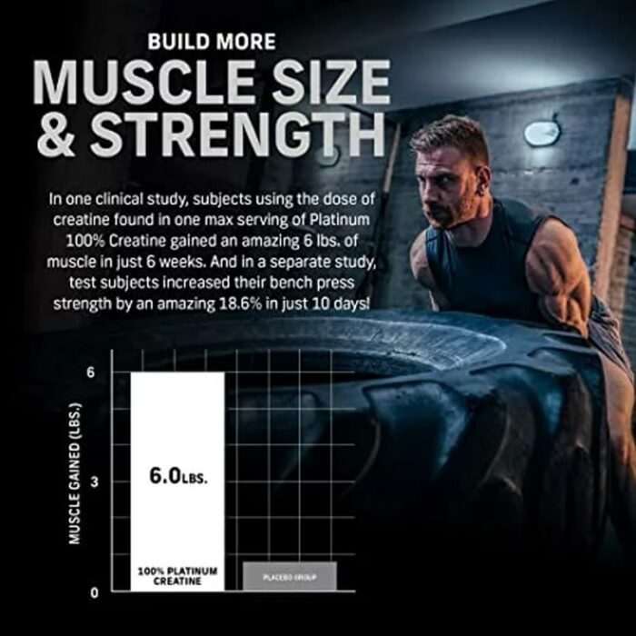 MuscleTech Platinum 100% Creatine 400 g – Image 4
