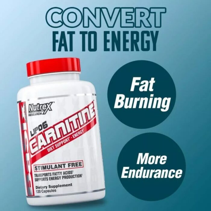 lipo 6 carnitine 120caps Nutrex – Image 2