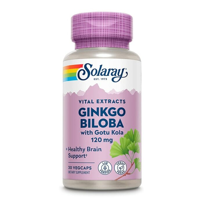 Ginkgo Biloba Extract, One Daily 120mg