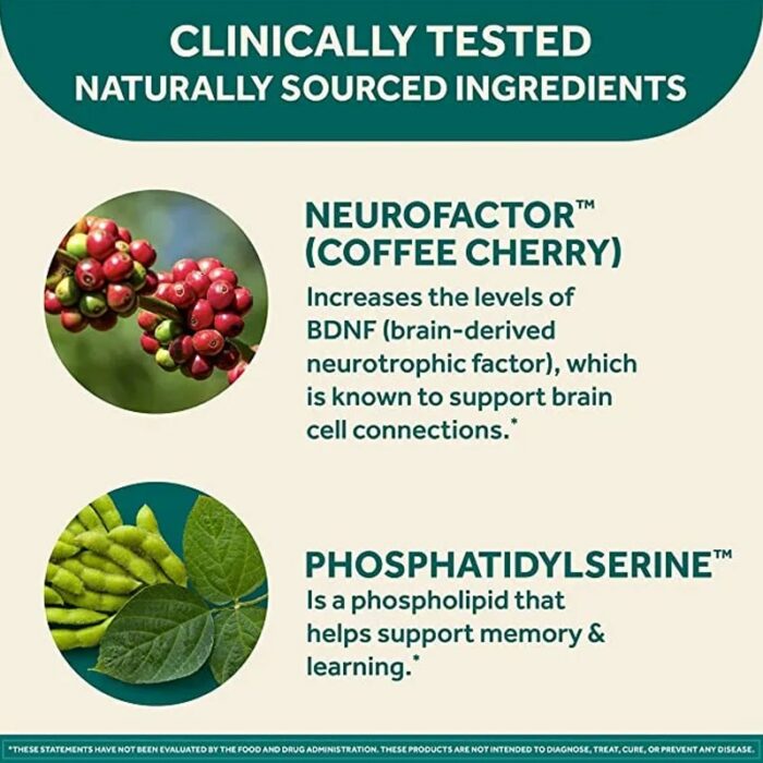 Neuriva Original santé du cerveau Supplement Capsules (42 ct.) – Image 4