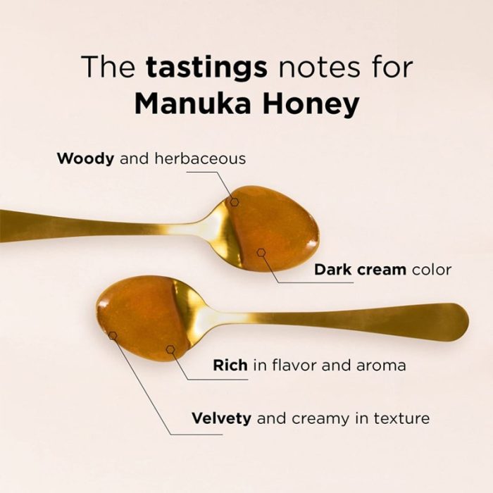 MANUKA DOCTOR NEW ZEALAND 525+MGO NET WT 8.75 OZ (250G) – Image 2