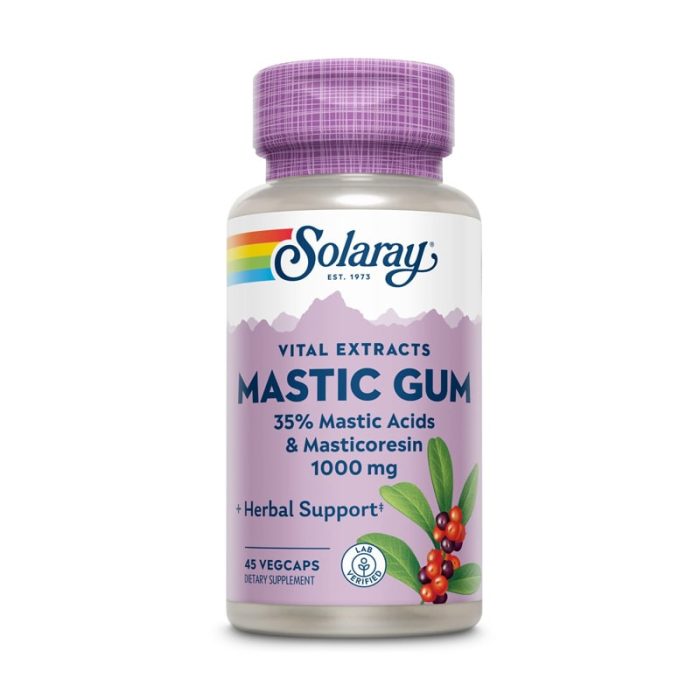 Solaray, Mastic Gum Extract 500 mg, 45 VegCaps